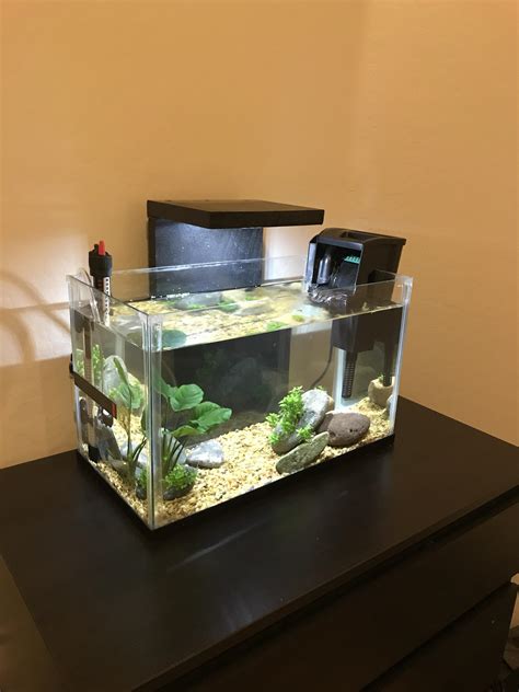 10 gallon aquarium background|More.